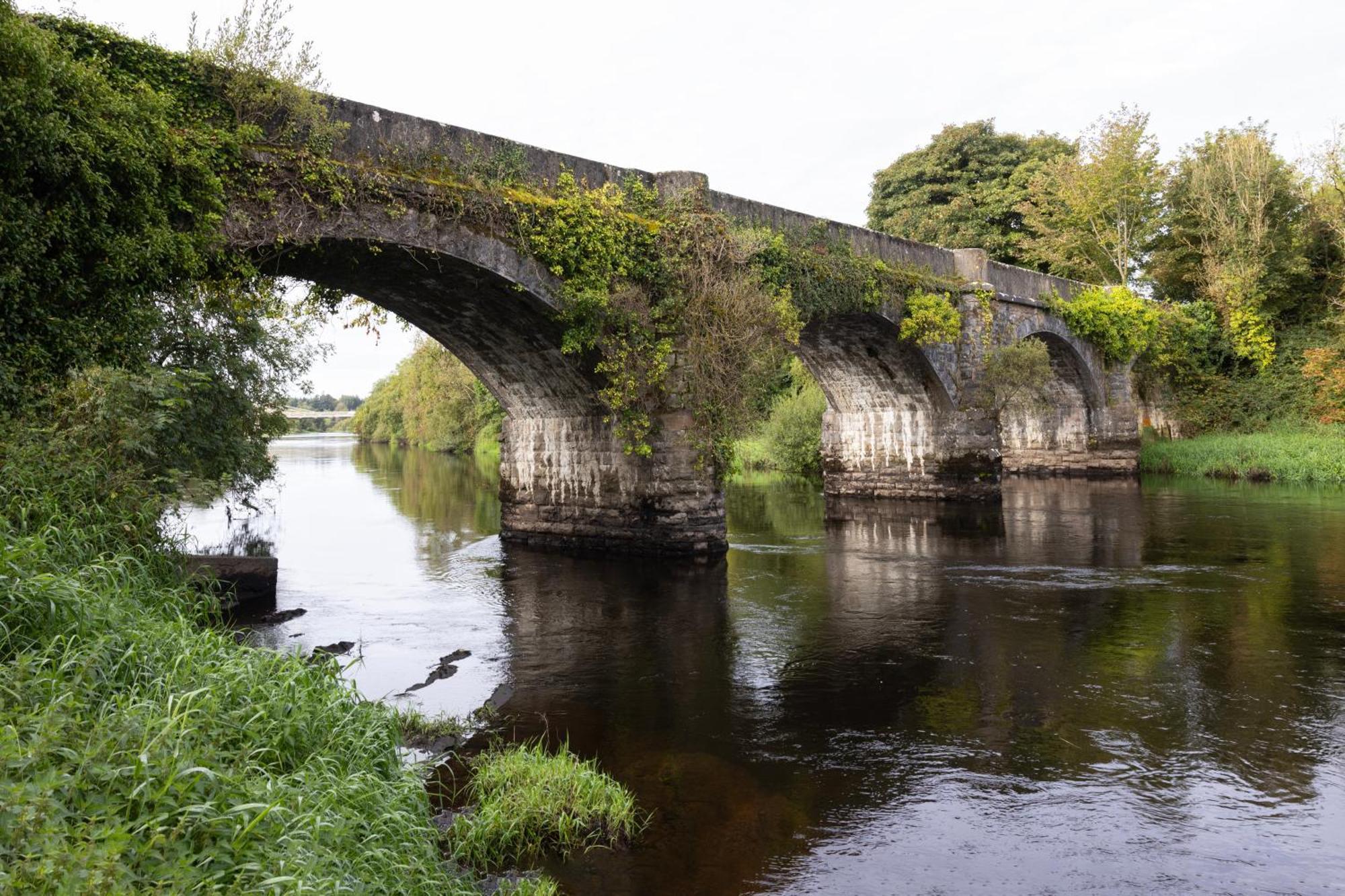 Hawthorn Lodge Belturbet Exteriér fotografie
