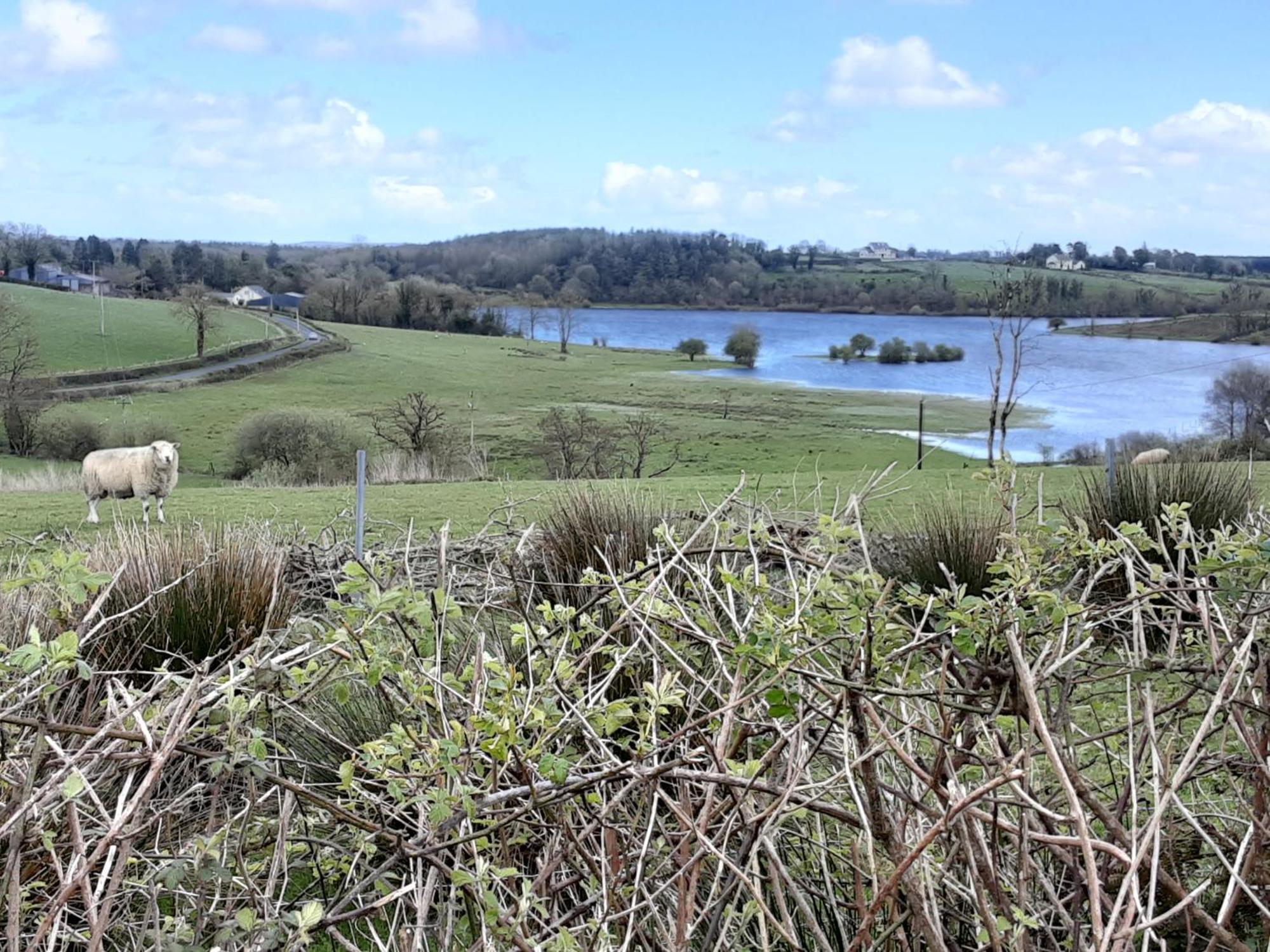 Hawthorn Lodge Belturbet Exteriér fotografie